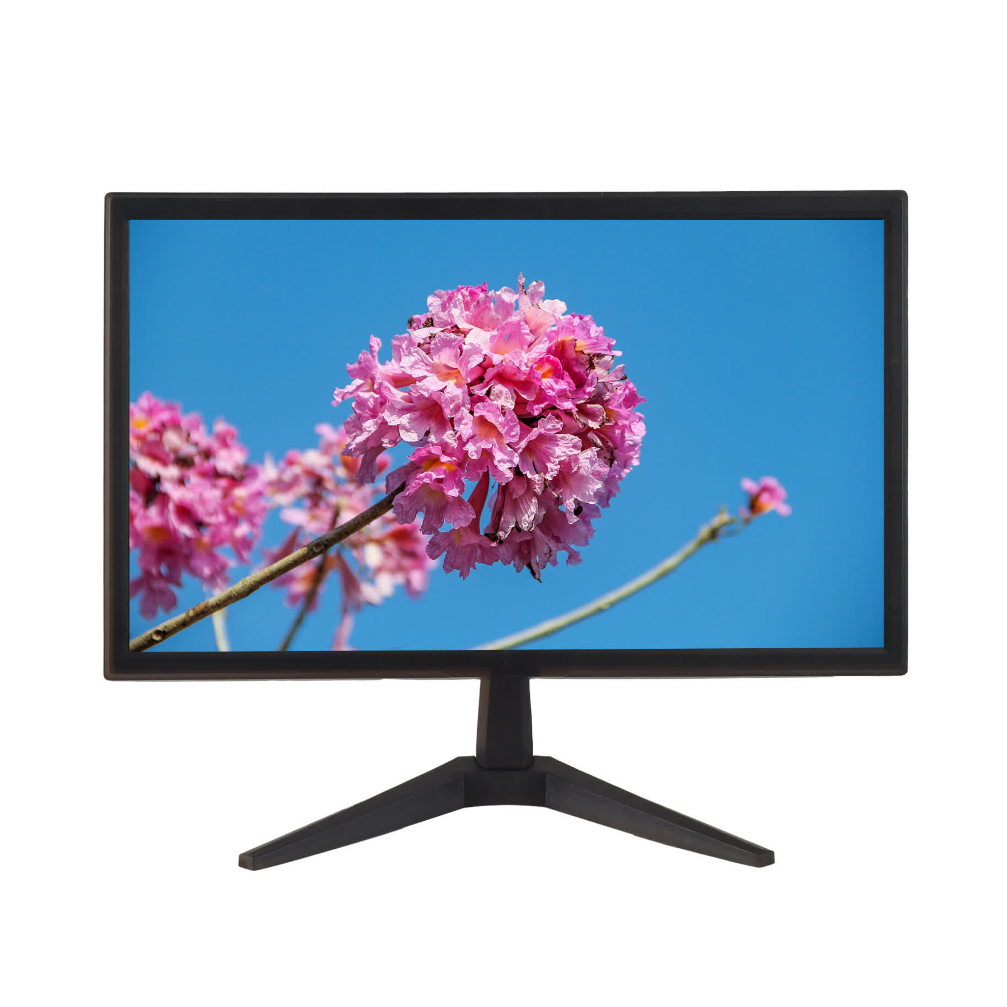 DL-19 Compact LCD Monitor with Built-in Speakers